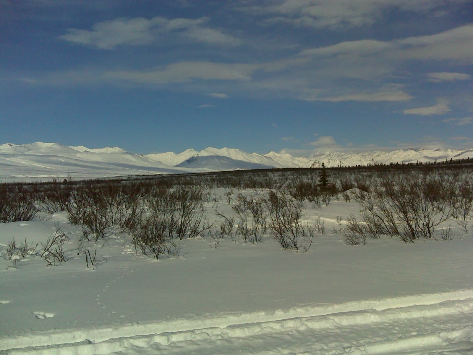 The gravel Denali Highway running through open tundra beneath the Alaska Range