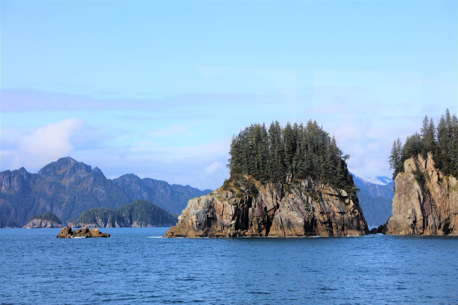 Spruce-topped rock islands rising from blue water in the Kenai Fjords in September